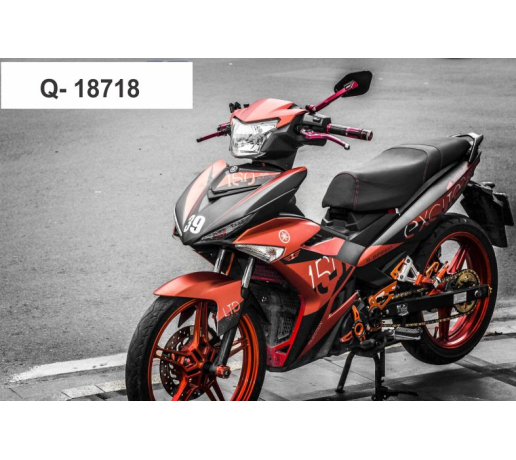 Q- 18718 EXCITER 150 EDITION LTD CAM DEN