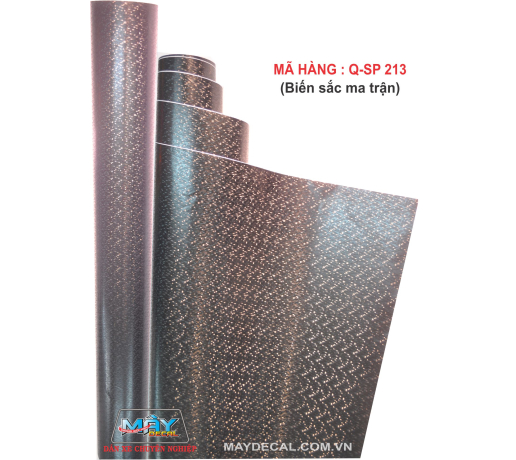Q-SP 213 BIẾN SẮC MA TRẬN