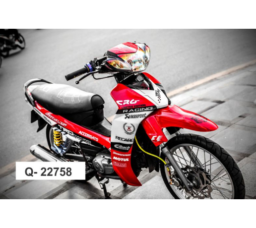 Q- 22758 SIRIUS RECARO CRG TRD DO TRANG DEN