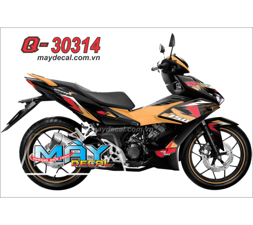 Q-30314 WINNER X CAM DEN