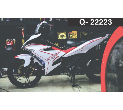 Q- 22223  EXCITER 2015  TEM CHI TRANG DO