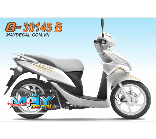 Q-30145 B VISION DD