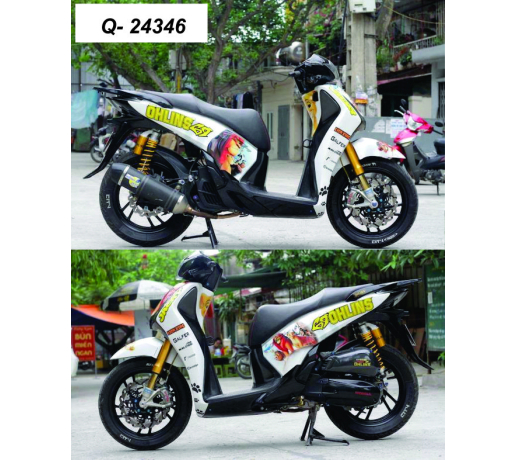 Q- 24346 SH 2012 OHLINS LION KING TRANG