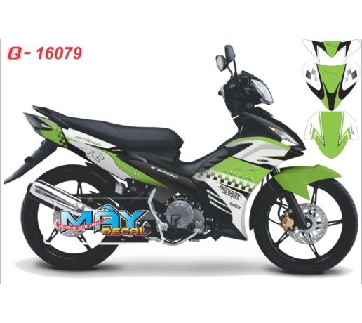 Q 16079 EX trang den xanh z1000 jaguar caro bao