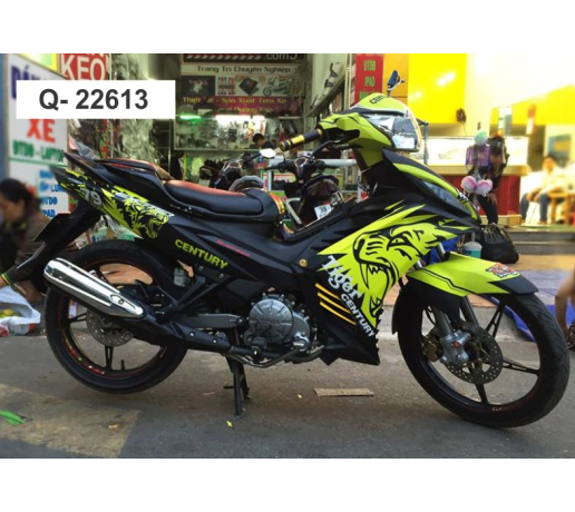 Q- 22613 EXCITER 2011 TIGER CENTURY VANG DEN