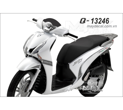 Q 13246 SH 2013 trang white duong net line chi tem roi