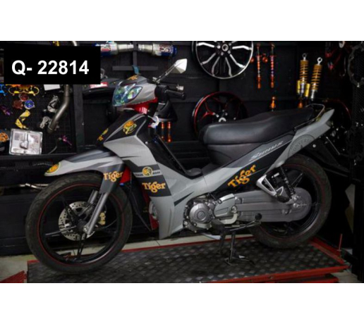 Q- 22814 SIRIUS TIGER BEER XAM DEN VANG