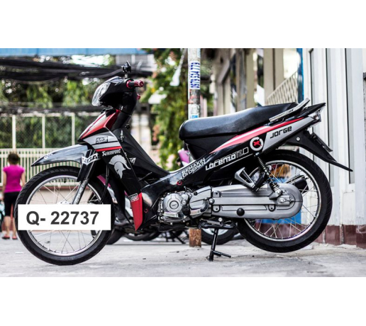 Q- 22737 SIRIUS LORENZO DO XAM DEN