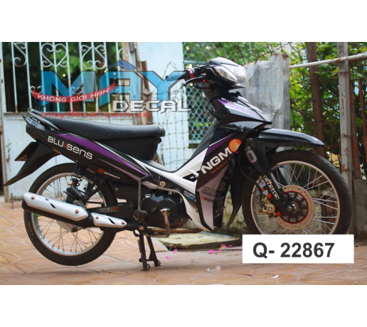 Q- 22867 SIRIUS NGM BLUSENS TIM DEN TRANG