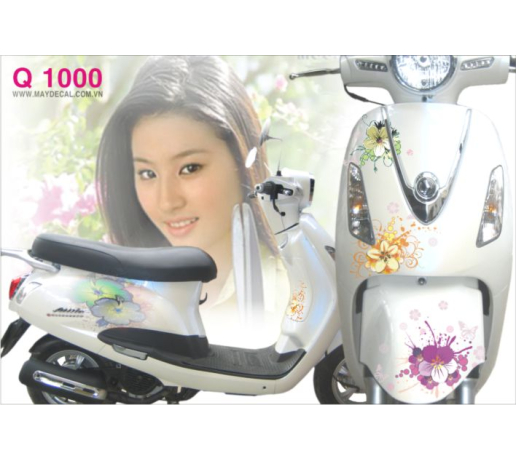 Q 1000  ELIZABETH