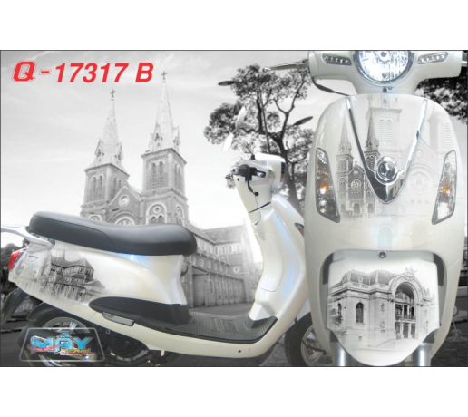 Q 17317 B ELIZABETH  nha tho duc ba viet nam sai gon SG kien truc phong canh