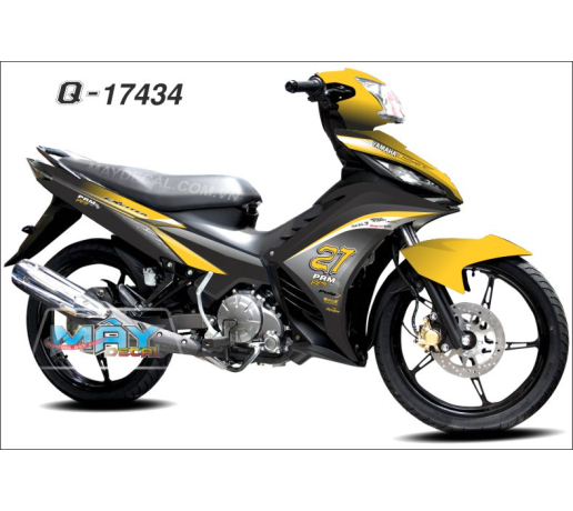 Q 17434 EXCITER 2011 vang den black yellow PRM logo