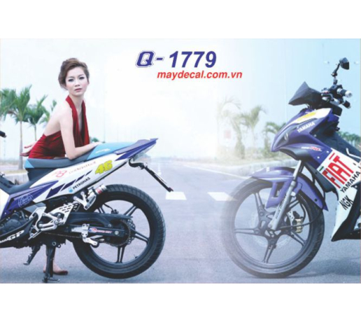 Q 1779 EX 2009 logo fiat trang xanh gp blue white