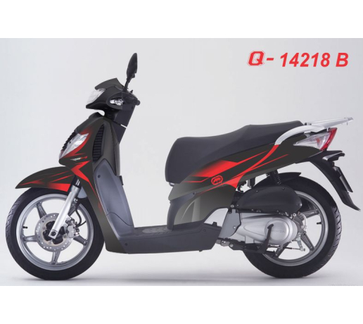 Q 14218 B - SH 2008  duong net line do den black red