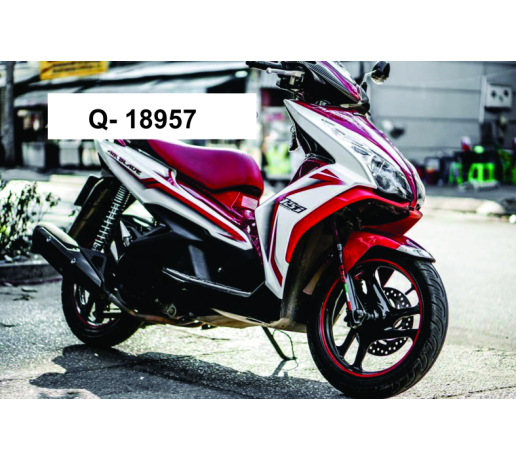 Q- 18957 AB 2013 ZIN DO TRANG