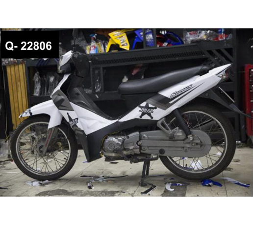 Q- 22806 SIRIUS RACER BUSTER TRANG DEN