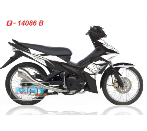 Q 14086 B _EX 2010 duong net line trang den black white