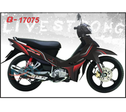 Q 17075 Si
