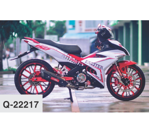 Q- 22217  EXCITER 2015  TEM CHI TRANG DO