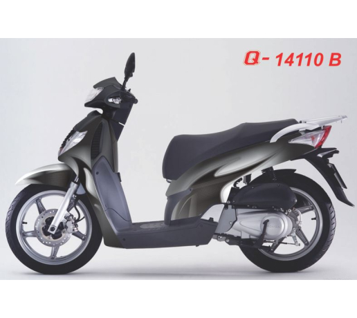 Q 14110 B - SH 2008 xam den gray black duong net