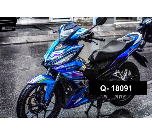Q- 18091 WINNER CA MAP SHARK XANH TRANG