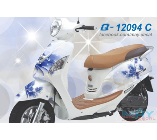 Q 12094 C ELIZABETH FI hoa flower trang white xanh duong blue
