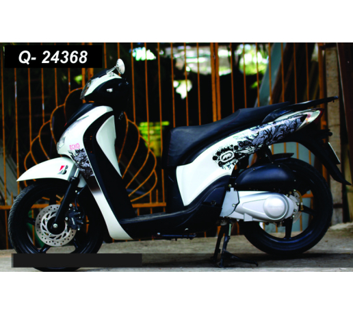 Q- 24368 SH 2009 ECKO TRANG XAM DEN