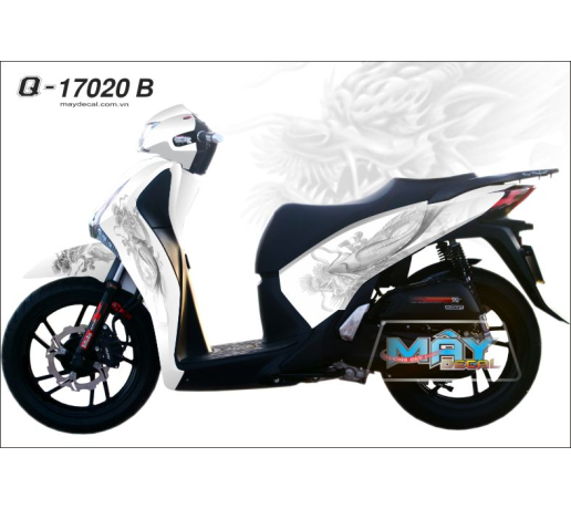 Q 17020 B SH VN 2013, ca chep hoa rong, fish dragon trang den xe dan tem decal trang tri, long ngu