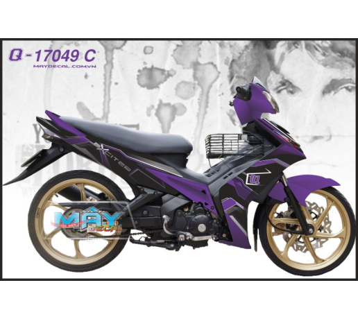 Q 17049 exciter 2010 tim den puple black duong net line sport
