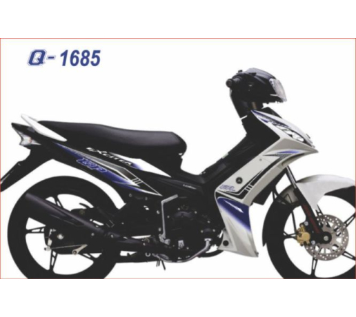 Q 1685  EX 2009 tem roi zin duong net