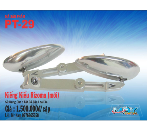 PT-29