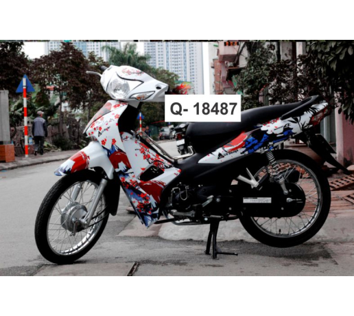 Q- 18487 WAVE 2017 HOA ANH DAO NHAT BAN DO TRANG